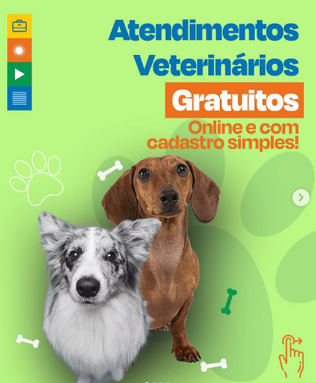 Prefeitura de Extremoz oferece atendimentos veterinários gratuitos e online