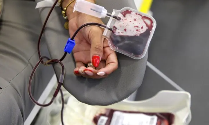 Câmara de Parnamirim e Hemonorte registram mais de 60 doadores de sangue